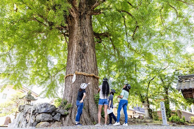 Rural Villages & Brewery Town: Private 1-Day Cycling Near Kyoto - Price