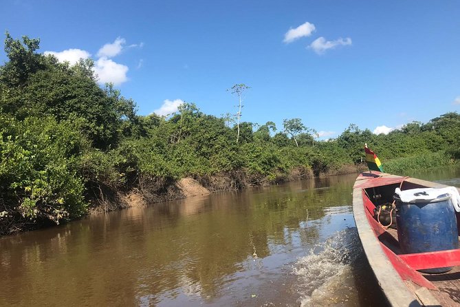 Rurrenabaque Pampas. 3 Days & 2 Nights. PRIVATE TOUR. (PLS ASK FOR SHARED TOUR) - Key Points