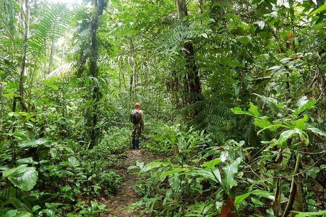 Rurrenabaque Pampas. 3 Days & 2 Nights. PRIVATE TOUR. (PLS ASK FOR SHARED TOUR) - Additional Details