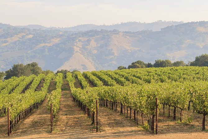 Russian River Weekend Wine Tasting & Gourmet Lunch - No Pickup From Residences
