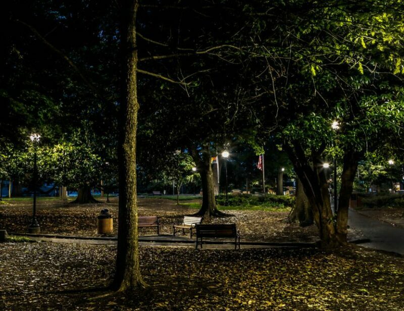 Rust, Rebels & Ruins: Raleigh Ghost Tours - Key Points