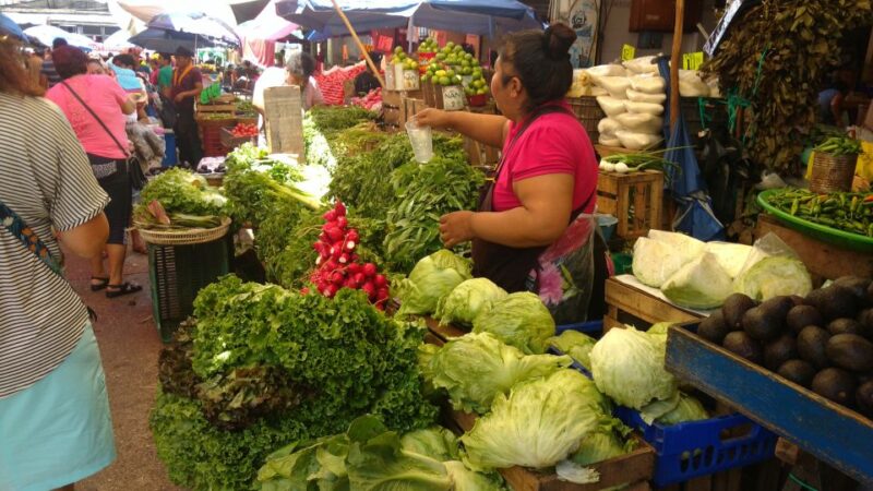 .Rustic Off the Beaten Path Mex Cooking Class & Lagoon Ride - Itinerary Highlights