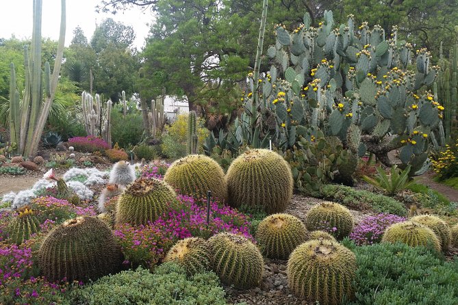 Ruth Bancroft Garden General Admission Ticket - Amenities Offered