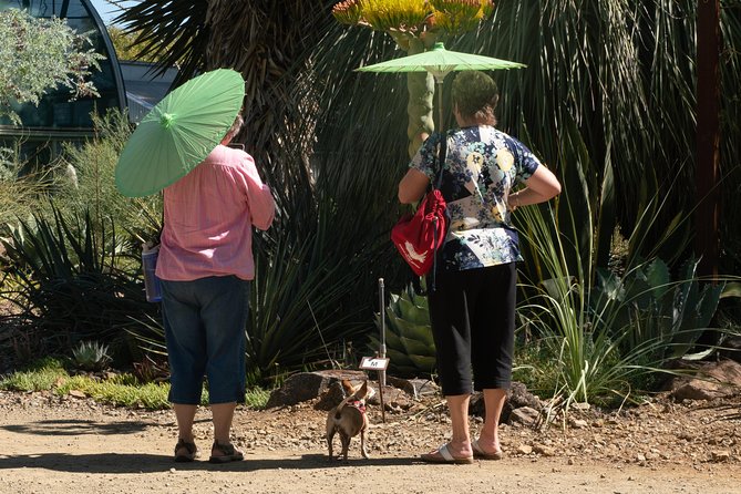 Ruth Bancroft Garden General Admission Ticket - Garden Hours and Booking