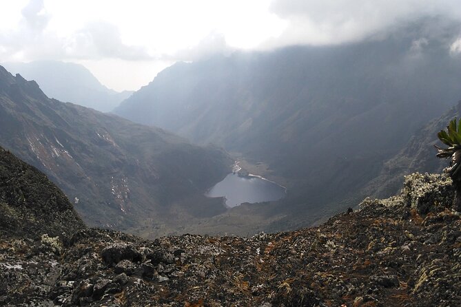 Rwenzori Mountains Trekking With Margherita Peak Summit - Availability and Schedule