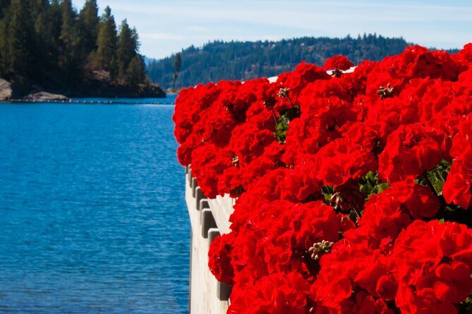 Rydables Discover Coeur dAlene Guide Tour - The Sum Up