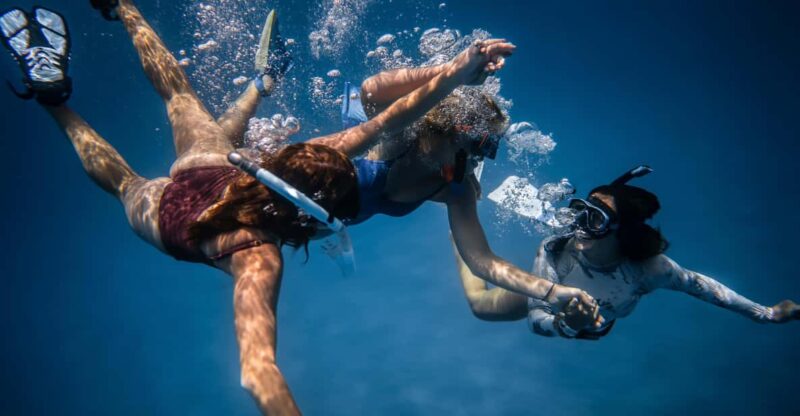 S. Miguel: Snorkeling Adventure in Caloura - Snorkeling Experience