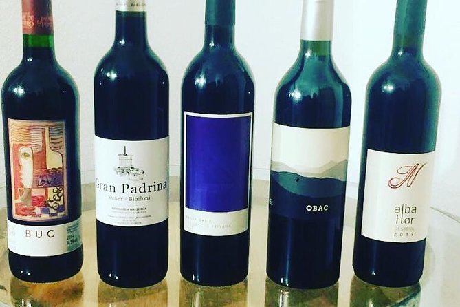 Sa Clasta Wine Tours, Mallorca - Overview and Experience