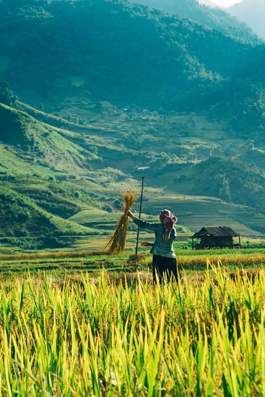 Sa Pa: 2-Day Trekking Tour With Ethnic Minority Homestay - Experience Highlights
