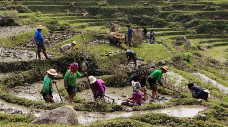 Sa Pa: 2-Day Trekking Tour With Ethnic Minority Homestay - Important Information