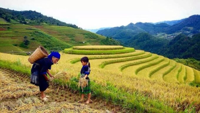 Sa Pa: 2-Day Trekking Tour With Ethnic Minority Homestay - Trek From Sapa to Ta Van