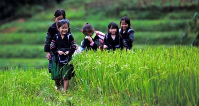 Sa Pa: 2-Day Trekking Tour With Ethnic Minority Homestay - Exploring Y Linh Ho and Black Hmong