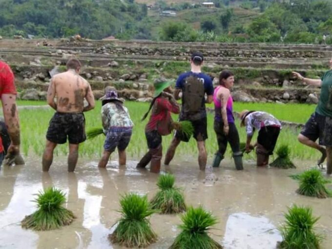 Sa Pa: 2-Day Trekking Trip With Ethnic Minority Homestay - Enjoying Muong Hoa River Swim