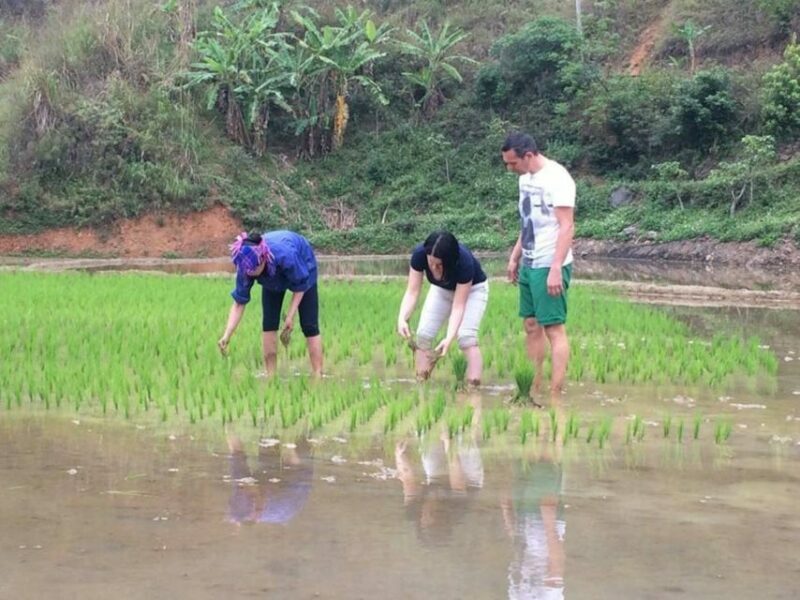 Sa Pa: 6-Hours Muong Hoa Valley Trek with Local Ethnic guide - Key Points