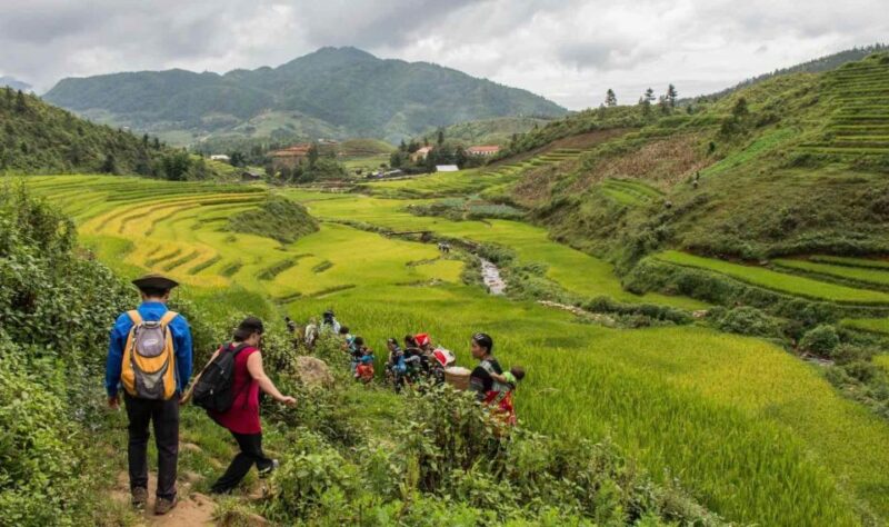 Sa Pa Discovery: 2 Days, 1 Night Adventure - Ham Rong Mountain