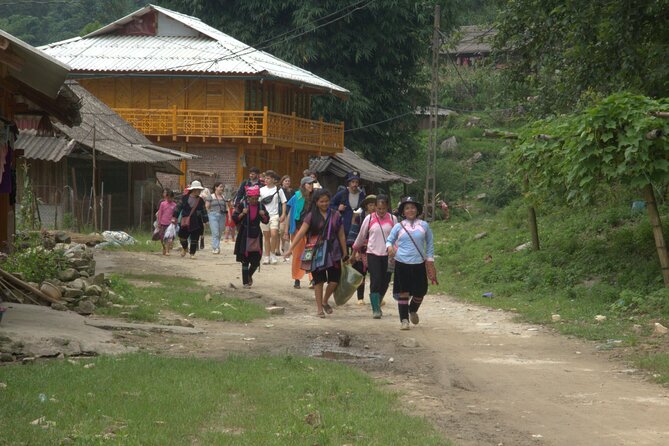 Sa Pa Full Day Trekking Tour - Tour Accessibility and Requirements