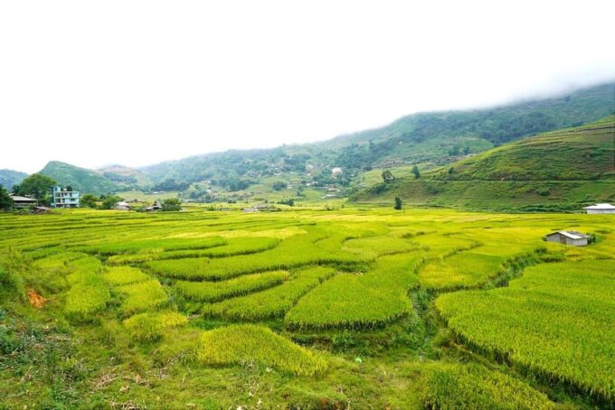 Sa Pa: Half-Day Cat Cat Village Hike to Meet Hmong People - Recommendations