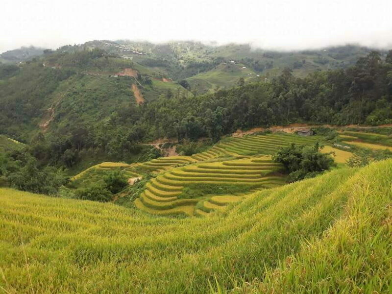 Sa Pa: Muong Hoa Valley Trek and Local Ethnic Villages - Authentic Experiences and Value