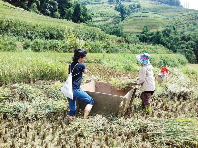 Sa Pa: Muong Hoa Valley Trek and Local Ethnic Villages - Key Points