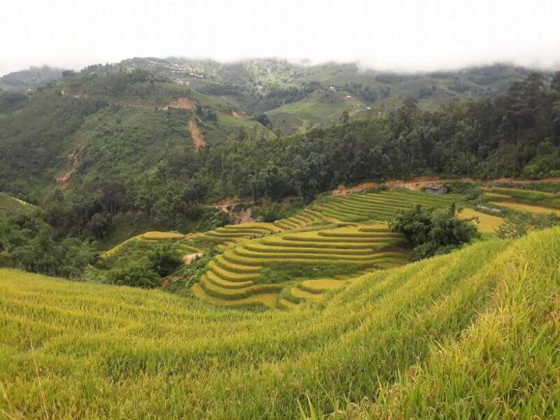 Sa Pa: Muong Hoa Valley Trek and Local Ethnic Villages - Trek Details