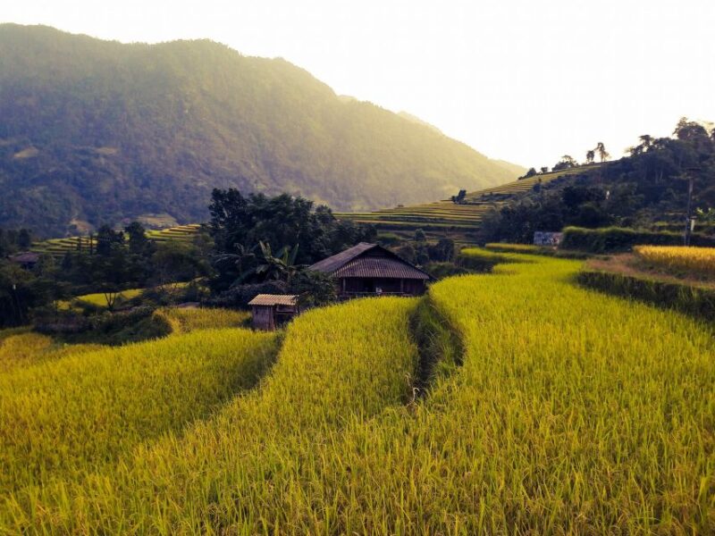 Sa Pa: Muong Hoa Valley Trek and Local Ethnic Villages - Suitability and Recommendations