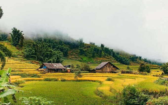 Sa Pa: Muong Hoa Valley Trek and Local Ethnic Villages - Customer Ratings and Reviews