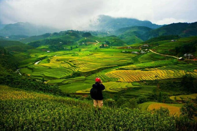 Sa Pa: Muong Hoa Valley Trek and Local Ethnic Villages - Frequently Asked Questions