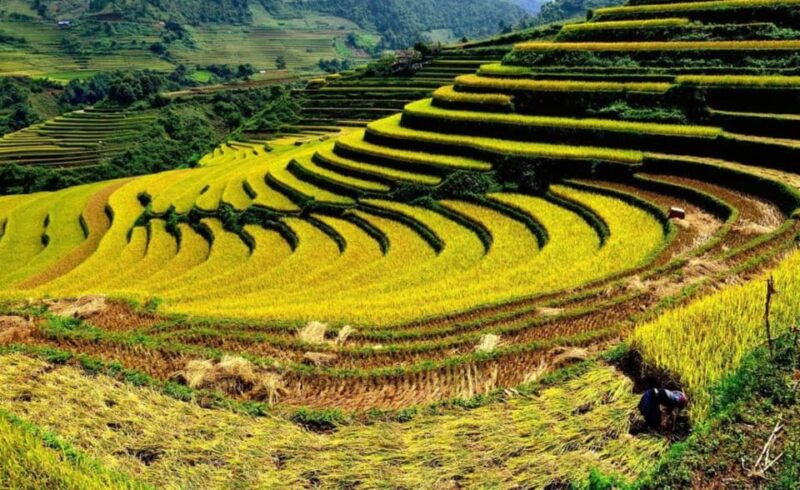 Sa Pa: Muong Hoa Valley Trek and Local Ethnic Villages Tour - Inclusions and Exclusions