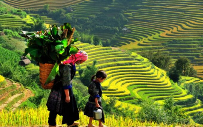 Sa Pa: Muong Hoa Valley Trek and Local Ethnic Villages Tour - Local Ethnic Village Visits