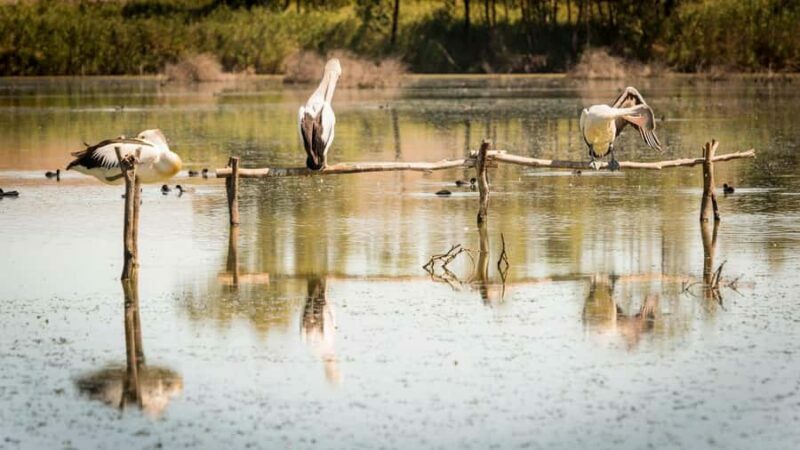 SA Riverland: 3-Day Murray River & National Parks Eco Tour - What to Expect from This Eco Tour