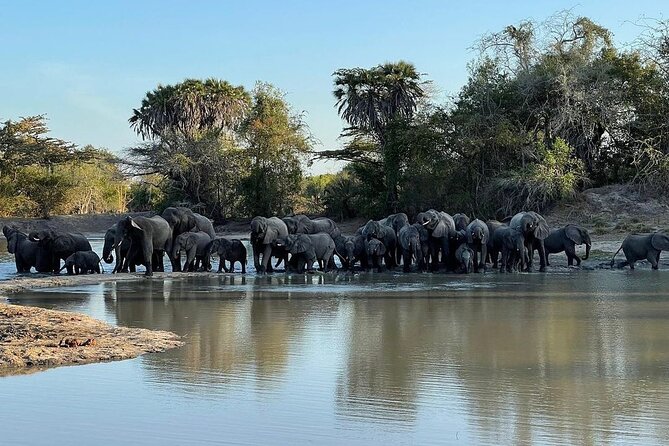 Saadani National Park Day Tour - Key Points