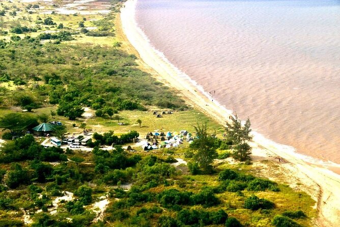 Saadani National Park Day Tour - Wildlife Viewing Opportunities