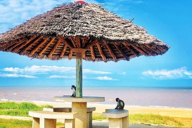 Saadani National Park Day Tour - Cultural Experiences