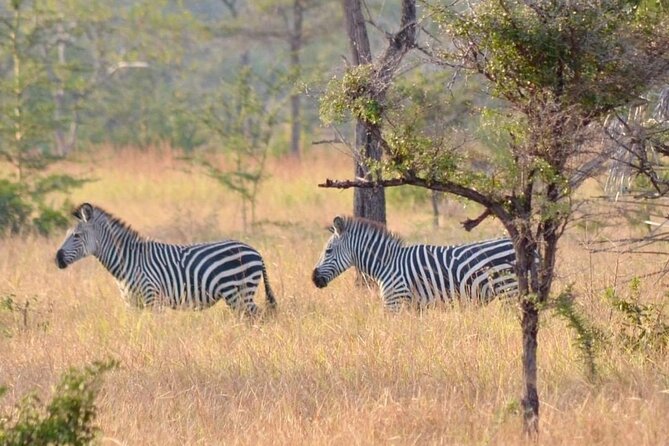 Saadani National Park Day Tour - What to Bring