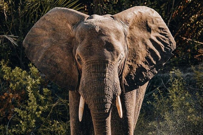 Saadani National Park Day Tour - Safety Considerations