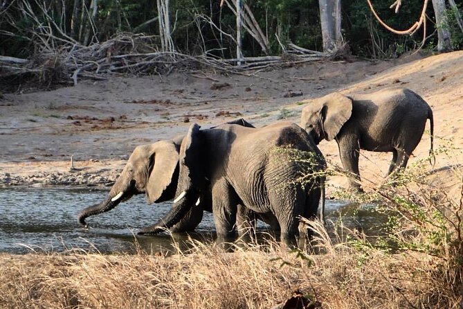 Saadani National Park Day Tour - Preparing for the Tour