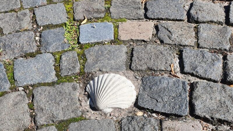 Saarbrücken: City Sights Self-Guided Walking Tour - Highlights and Experience
