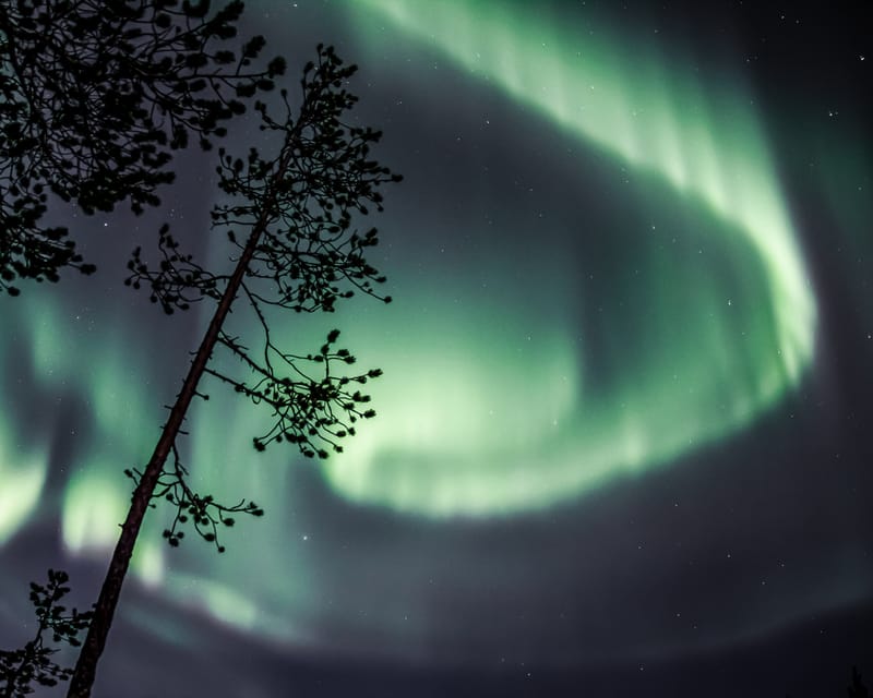 Saariselkä: Aurora Photo Tour by Car With Transfer & Drinks - Availability and Booking