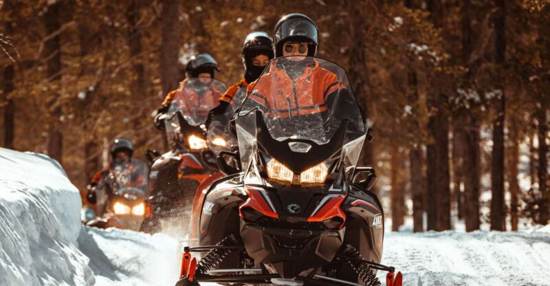 Saariselkä: Full Day Adventure With Snowmobiles - Activity Overview