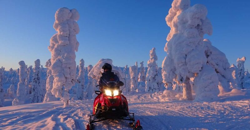 Saariselkä/Inari: Evening Snowmobile Tour With Fire & Dinner - Tour Highlights