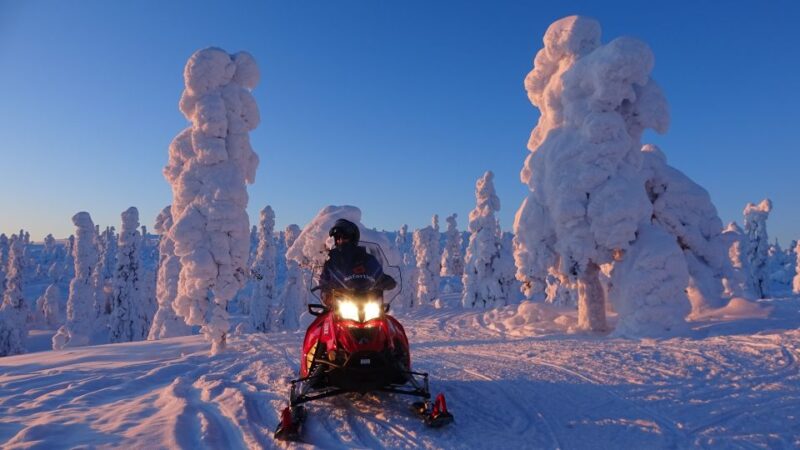 Saariselkä/Inari: Evening Snowmobile Tour With Fire & Dinner - Snowmobile Details