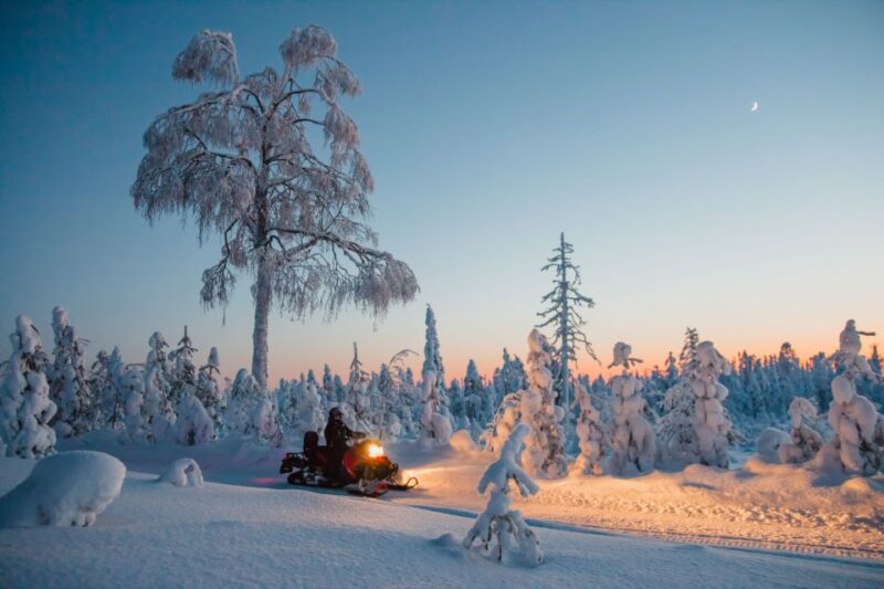 Saariselkä/Inari: Evening Snowmobile Tour With Fire & Dinner - Dinner and Campfire