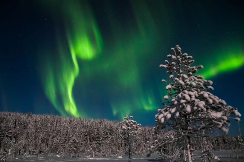 Saariselkä: Northern Lights Hunting Snowshoe Trip - Good To Know