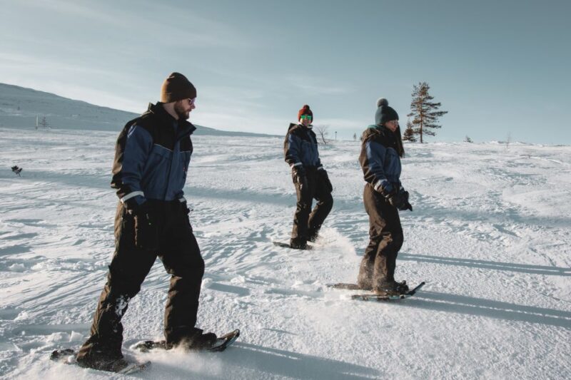 Saariselkä: Scenic Snowshoe Safari - Booking Information