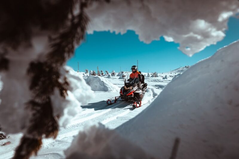 Saariselkä: Snowmobile Adventure for Adults - Liability Considerations