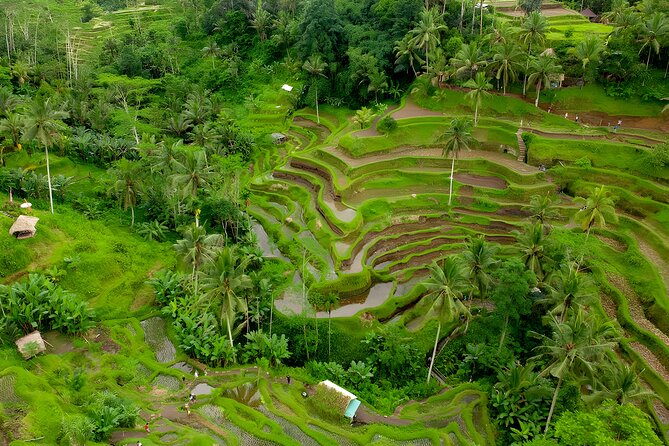 Saba Beach Horseback Riding and Ubud: Private Trip With Lunch  - Seminyak - Discover Celuk Village Artisans