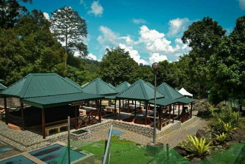 Sabah: Kinabalu Park, Poring Hot Springs & Desa Farm Tour - Introduction to the Tour