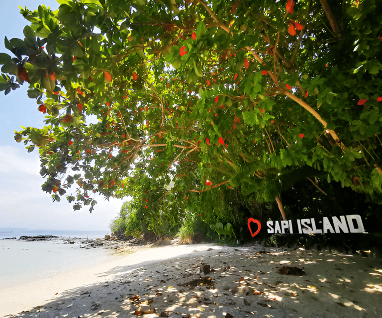 Sabah: Manukan and Sapi Islands Excursion Ticket - Transportation and Activities