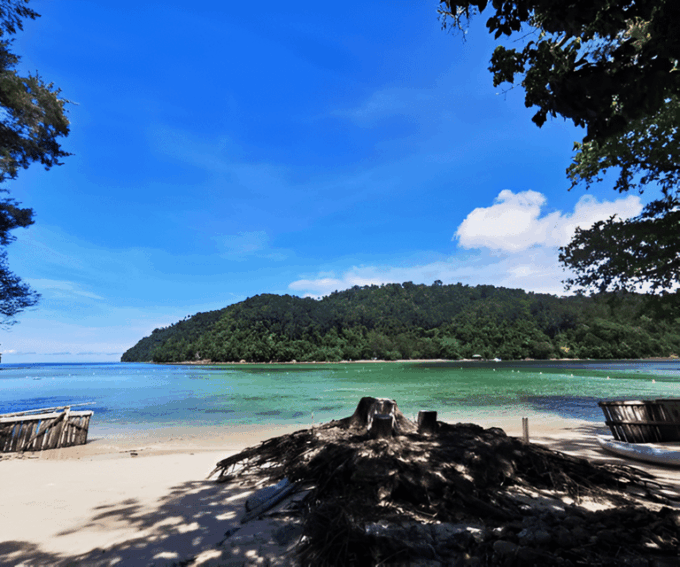Sabah: Manukan and Sapi Islands Excursion Ticket - Included and Optional Features