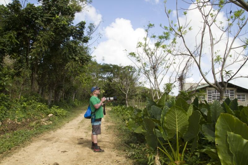 Sabana De La Mar: Los Haitises Park Bird-Watching Tour - Key Points